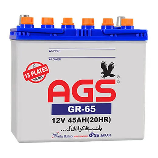 AGS GR 65 battery