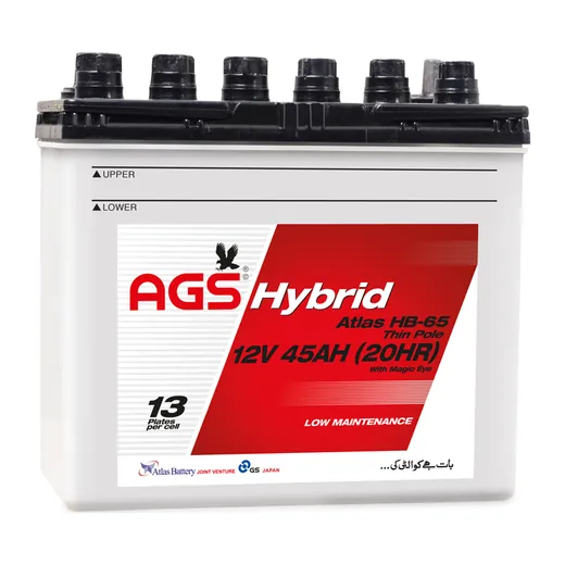 AGS HB 65 (Thin Pole) battery