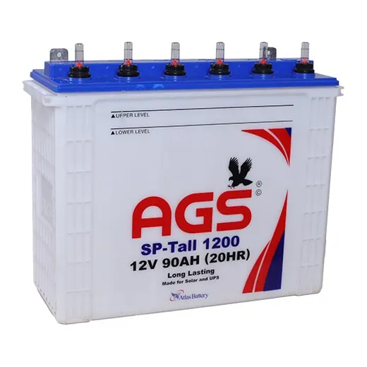 AGS SP Tall 1200 battery