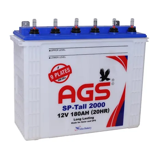 AGS SP Tall 2000 battery