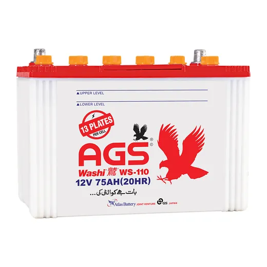 AGS WS 110 battery