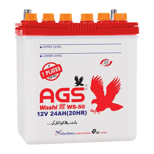 AGS WS 50 battery