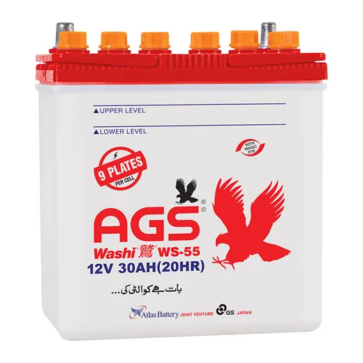AGS WS 55 R battery
